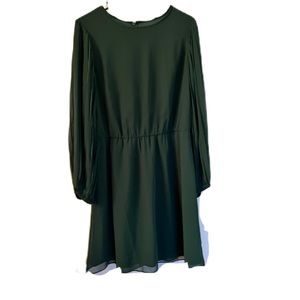 This dress has beautiful pleated sheer flutter sleeves.